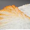 "belautomne" | table basse | 40 x diam. 130 | 2010.XML. Detail #2